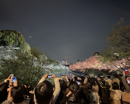 皇居ラン